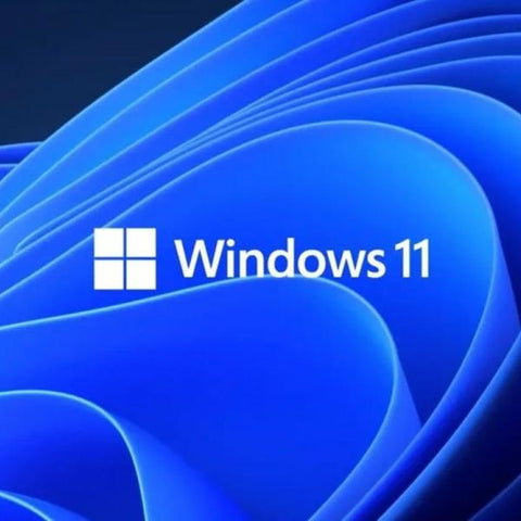 Windows 11 Professional 64 bit Instant Download